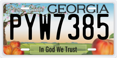 GA license plate PYW7385