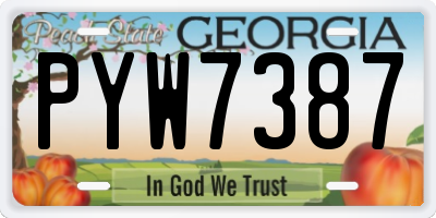 GA license plate PYW7387