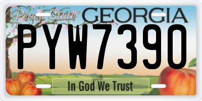 GA license plate PYW7390
