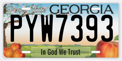GA license plate PYW7393