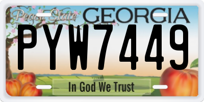 GA license plate PYW7449