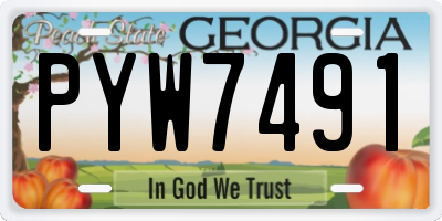 GA license plate PYW7491