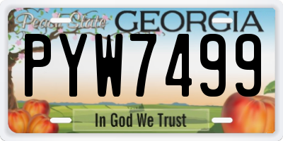GA license plate PYW7499