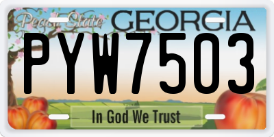 GA license plate PYW7503