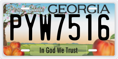 GA license plate PYW7516