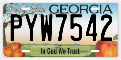 GA license plate PYW7542