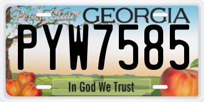 GA license plate PYW7585