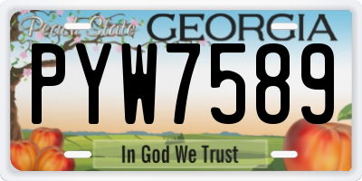 GA license plate PYW7589