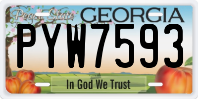 GA license plate PYW7593