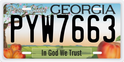 GA license plate PYW7663