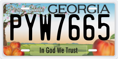 GA license plate PYW7665