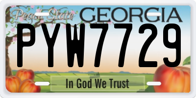 GA license plate PYW7729