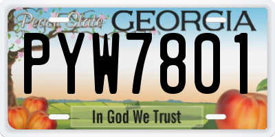 GA license plate PYW7801