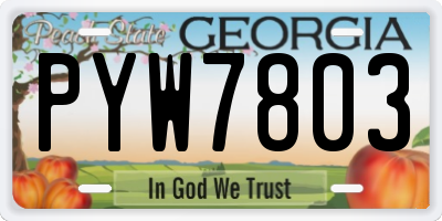 GA license plate PYW7803