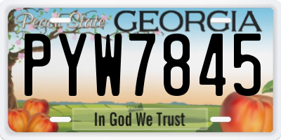 GA license plate PYW7845