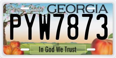 GA license plate PYW7873