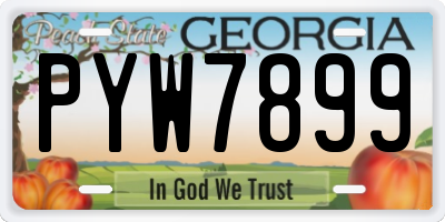 GA license plate PYW7899
