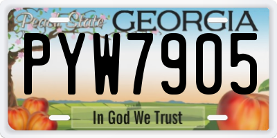 GA license plate PYW7905