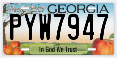 GA license plate PYW7947