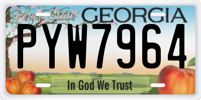 GA license plate PYW7964