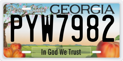 GA license plate PYW7982