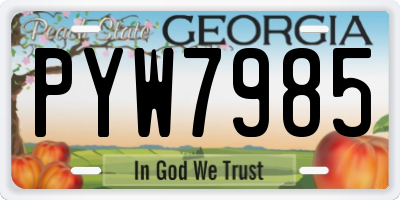 GA license plate PYW7985