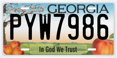 GA license plate PYW7986