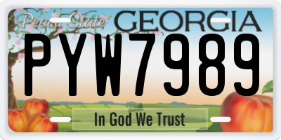 GA license plate PYW7989