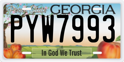 GA license plate PYW7993