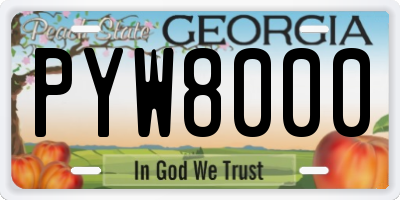 GA license plate PYW8000