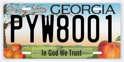 GA license plate PYW8001
