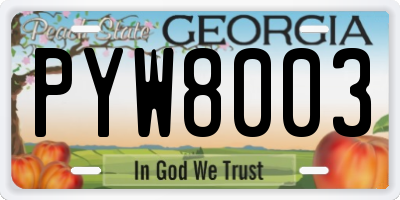 GA license plate PYW8003