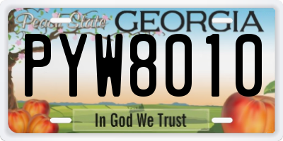 GA license plate PYW8010