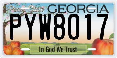 GA license plate PYW8017