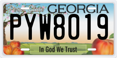 GA license plate PYW8019