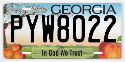 GA license plate PYW8022