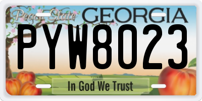 GA license plate PYW8023