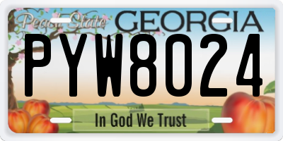 GA license plate PYW8024