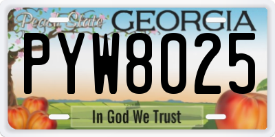 GA license plate PYW8025