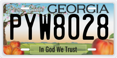 GA license plate PYW8028