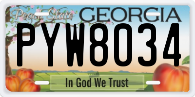 GA license plate PYW8034