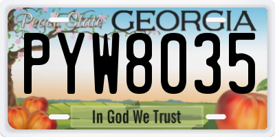 GA license plate PYW8035