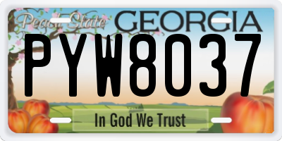 GA license plate PYW8037