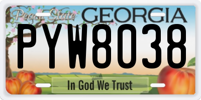 GA license plate PYW8038