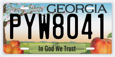 GA license plate PYW8041