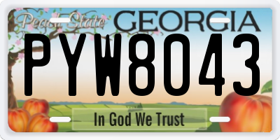 GA license plate PYW8043