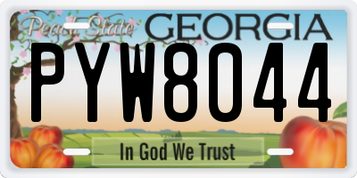 GA license plate PYW8044