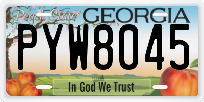 GA license plate PYW8045