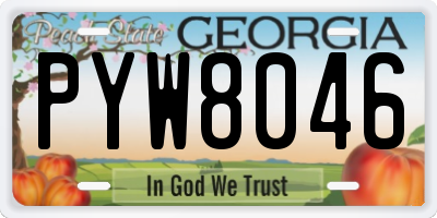 GA license plate PYW8046
