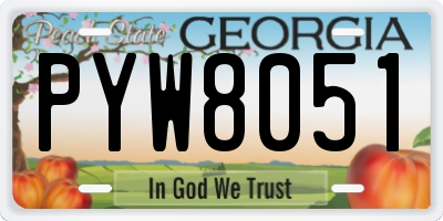 GA license plate PYW8051